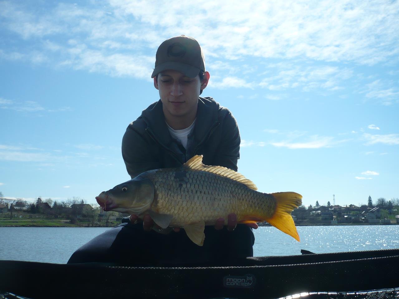 MV2 - 20.MAR.2014 - p1020221.JPG